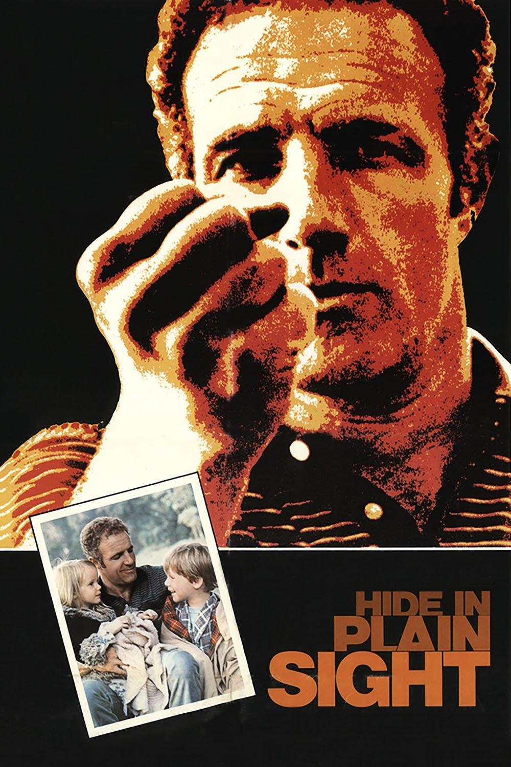 Hide in Plain Sight Osta julkinen esityslupa helposti ja nopeasti