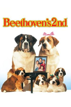 BEETHOVEN'S 2ND