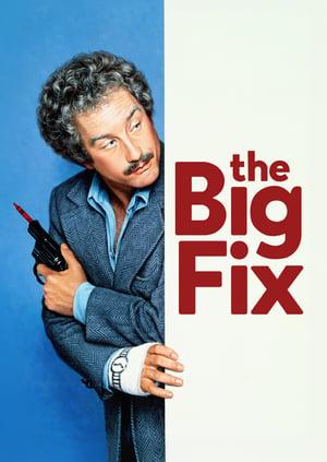 BIG FIX, THE (1978)