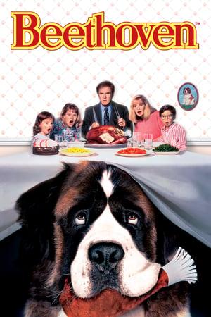 Beethoven poster