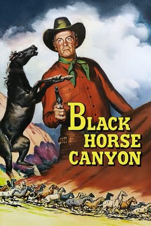 Black Horse Canyon poster