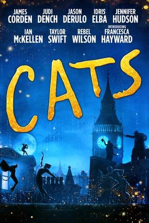 Cats poster