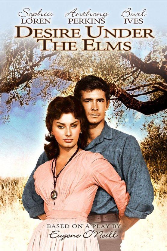 Desire Under the Elms poster