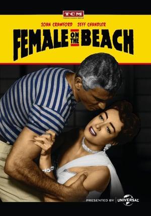 Female on the Beach poster