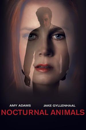 Yön eläimet poster
