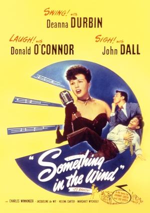 Something in the Wind poster