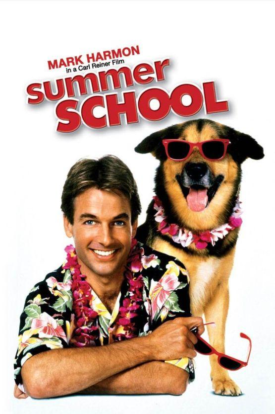 Summer School poster